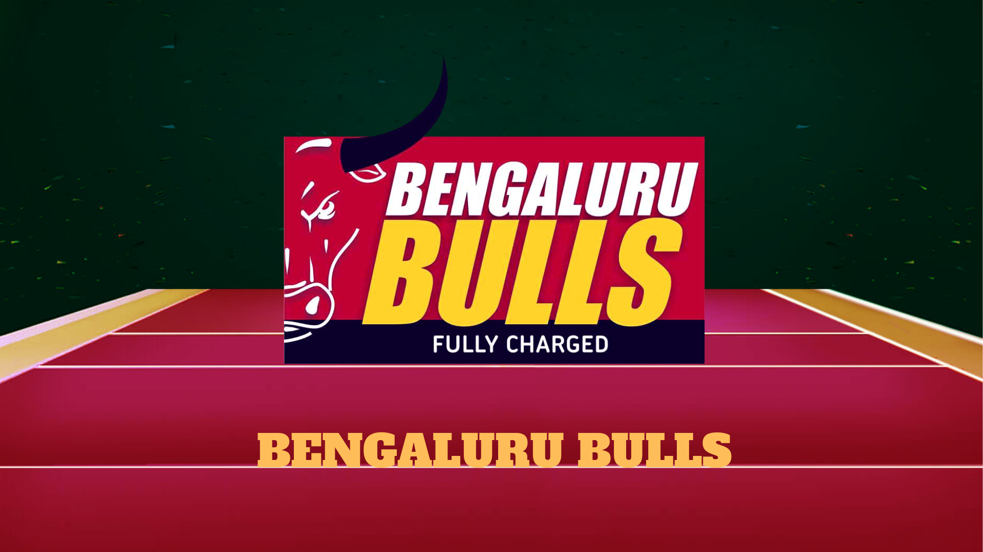 Bengaluru Bulls